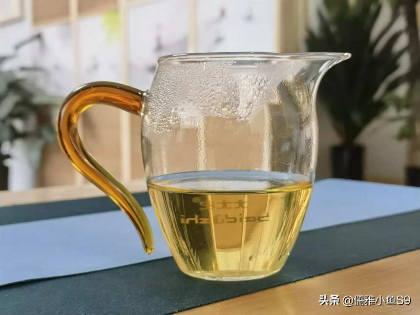 喝茶人的疑问：春茶和秋茶哪个季节的茶好？