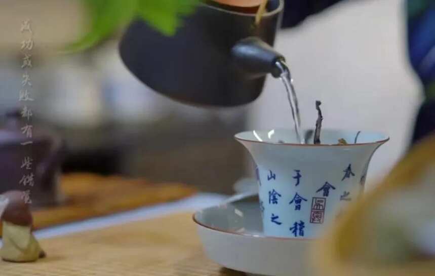 春节或节日如何选“待客茶”呢？