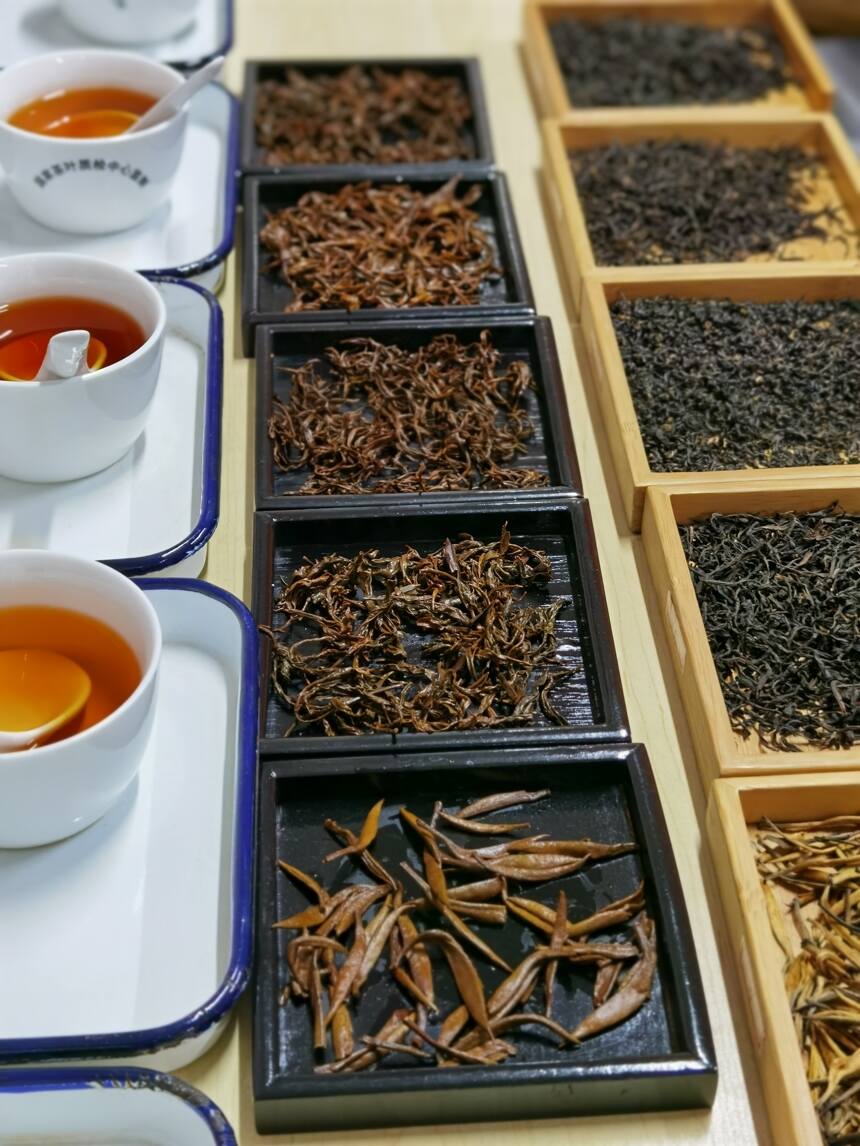 每天1分钟学习茶知识（14）看看自己是什么体质？适合喝什么茶？