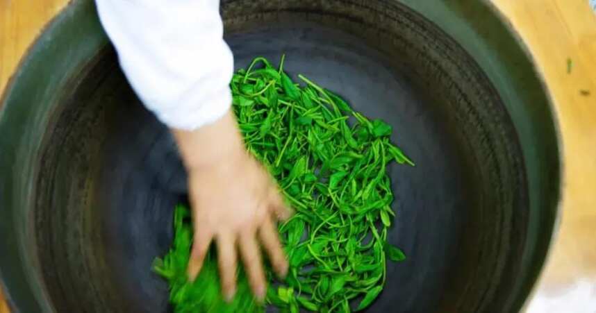 小吕推荐丨茶界“珍稀物种”—太平猴魁，空谷幽兰香！老茶客最爱