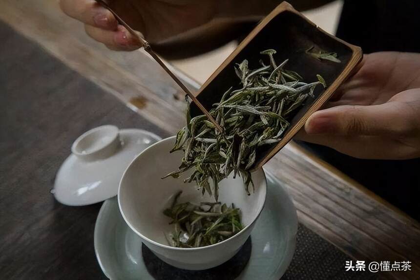 饮茶文化丨切勿盲目喝茶，关于白茶的饮茶技巧都在这啦
