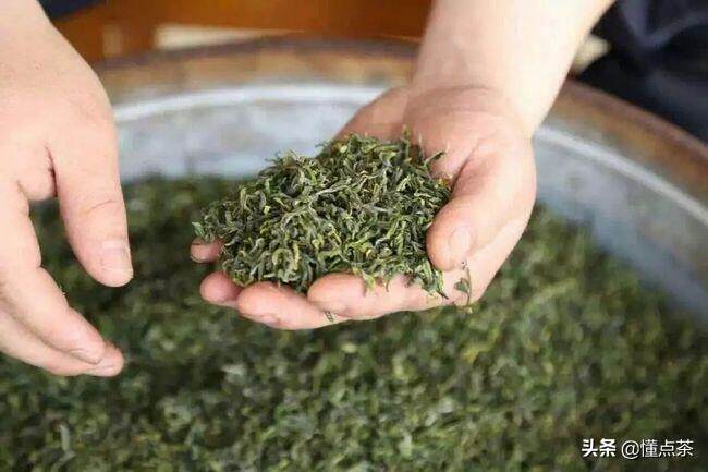 关于绿茶，你知道几类呢？