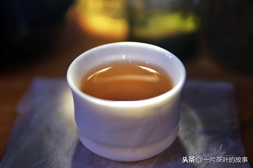青茶｜岭头单丛是什么茶？