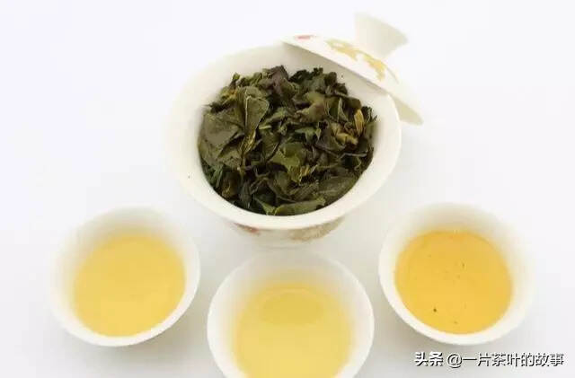 最知名的十大乌龙茶，你知道几个？