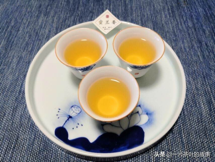 凤凰单丛蜜兰香，被认为是单丛茶的入门茶品