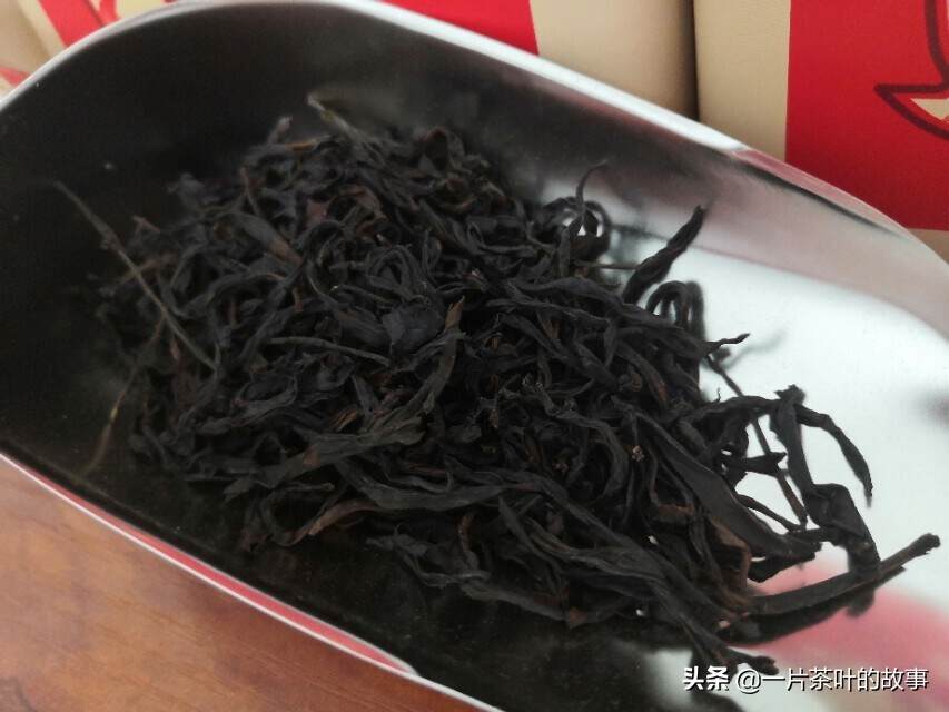 潮州人民最爱的凤凰茶，是单丛还是单枞？