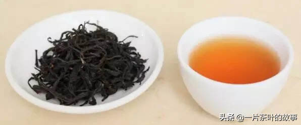 茶知识｜苦涩的茶不一定是坏茶，但苦涩化得快的茶一定是好茶