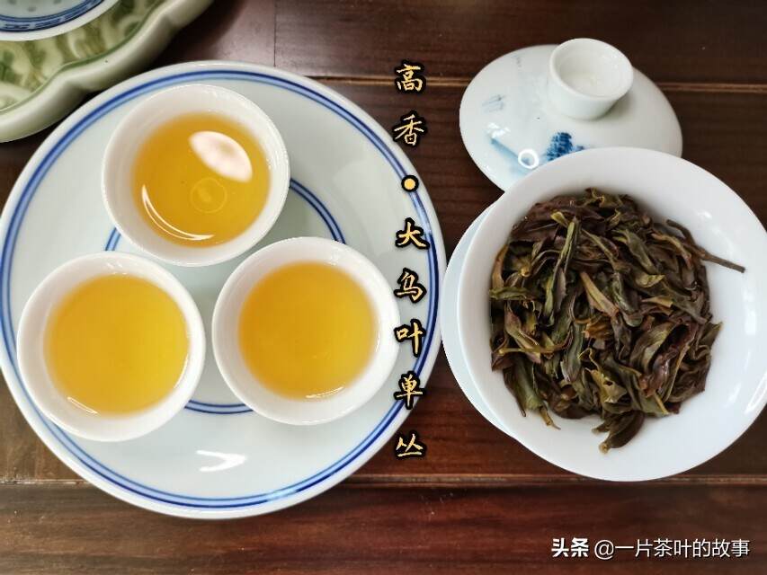 凤凰单丛｜花香大乌叶，一年中性价比最高的口粮茶