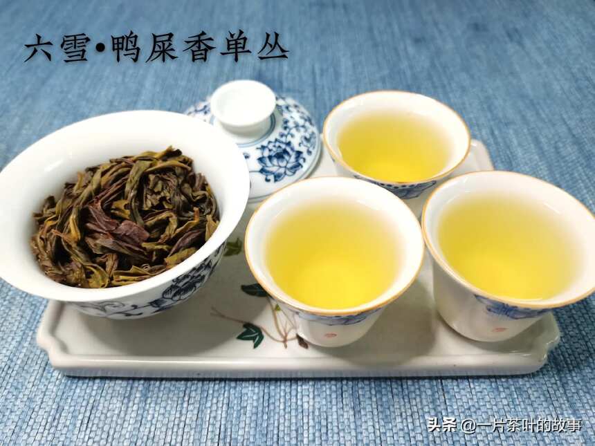 凤凰单丛 | 乌龙茶中奇葩，十大香型，十个花果香