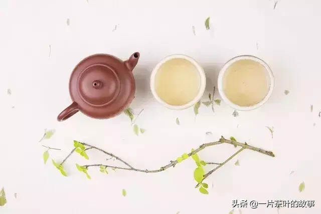 最全的中国茶知识，建议收藏