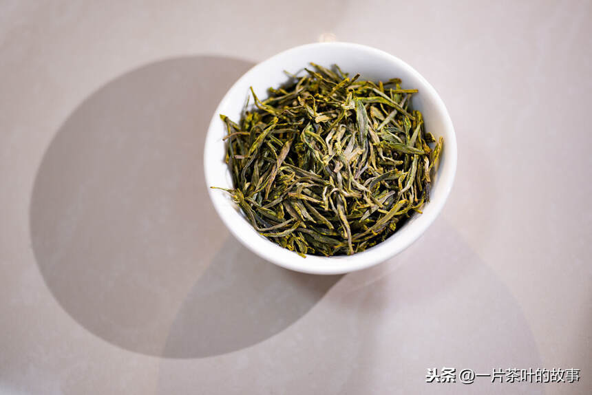 茶叶鉴别：茶叶的浮与沉能看出茶叶的好坏吗？