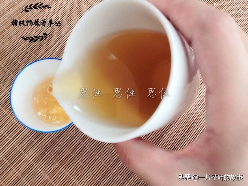凤凰单丛 | 潮州凤凰山，高山云雾出好茶！这是单丛香的原因