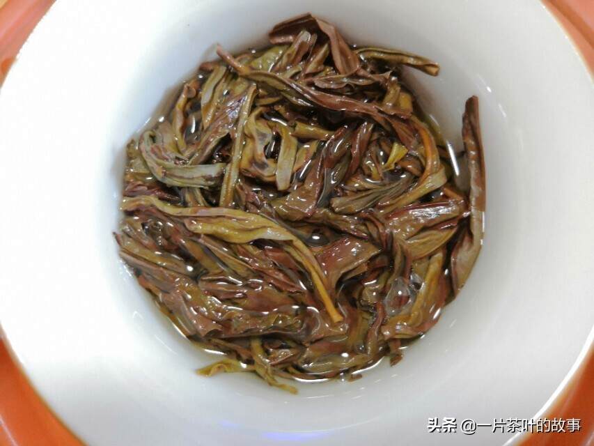 潮州人民最爱的凤凰茶，是单丛还是单枞？
