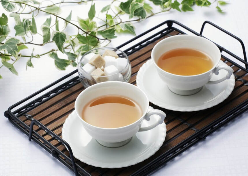 海拔温度与茶叶好坏有关系吗？