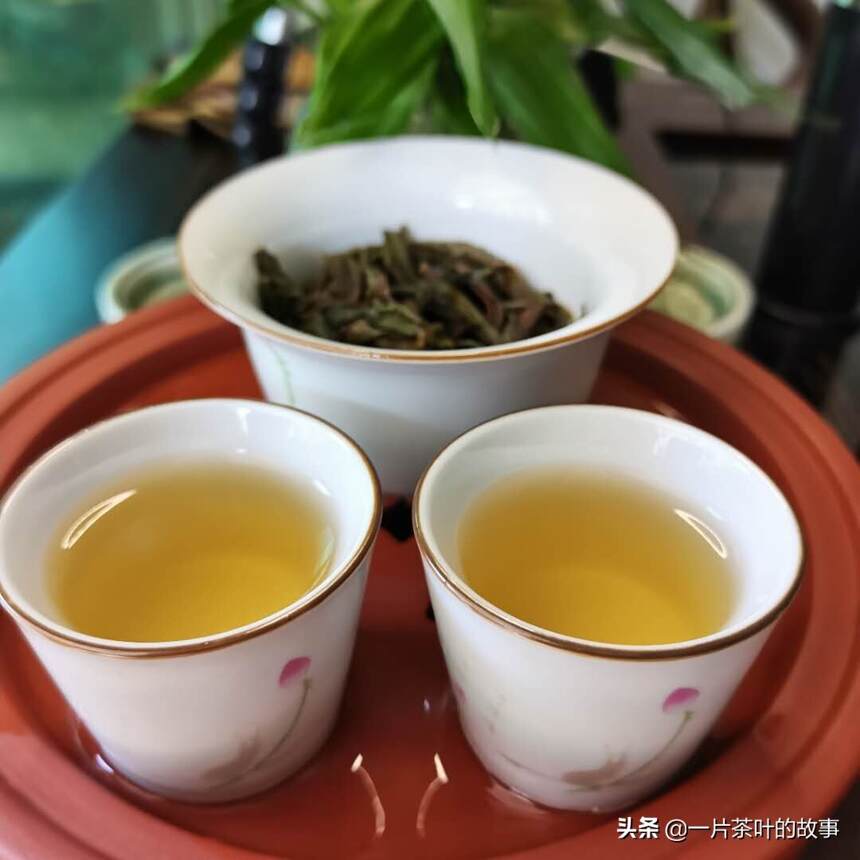 鸭屎香是目前最受欢迎的凤凰单丛茶
