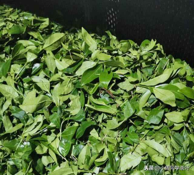 武夷岩茶制作过程中，哪些因素影响茶叶香气的形成？