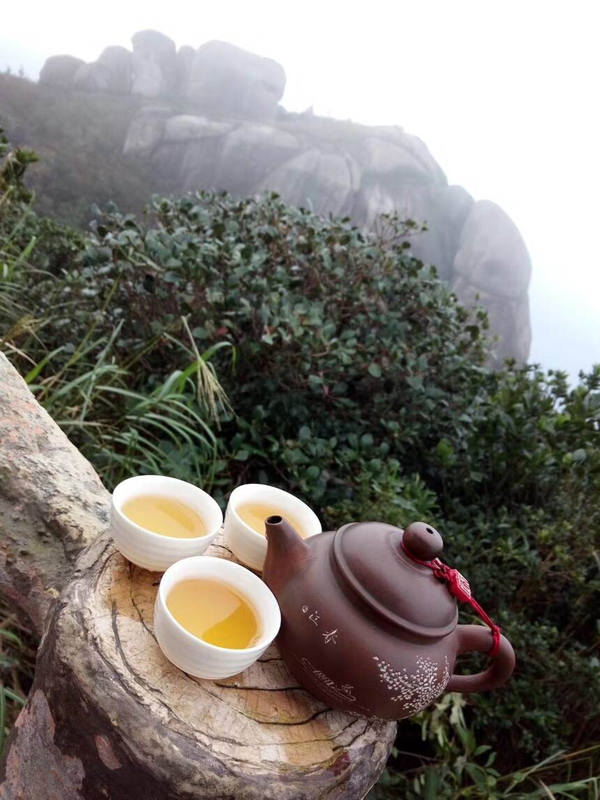 凤凰单丛茶十大香型之中的蜜兰香，有何特点，让如此多的人喜欢？