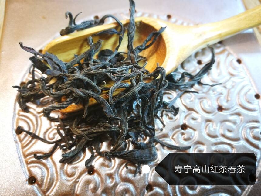 这两年很火的“寿宁高山茶”你造吗？
