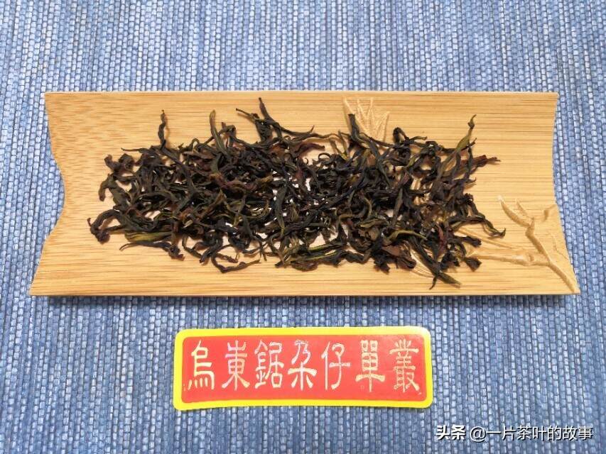 锯朵仔是一款怎样的凤凰单丛茶，为何又称为杏仁香，深受茶友青睐