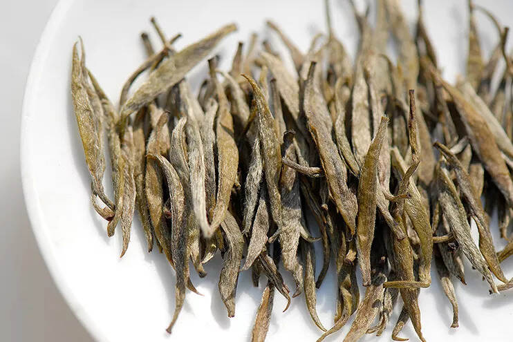 茶科普 | 你知道黄化茶和黄茶的区别吗？