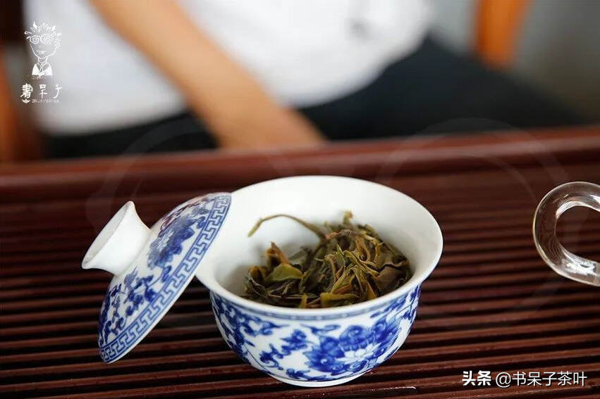 云南普洱茶的十大名寨，你了解哪些？