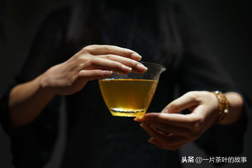 青茶｜凤凰单丛是什么茶呢？
