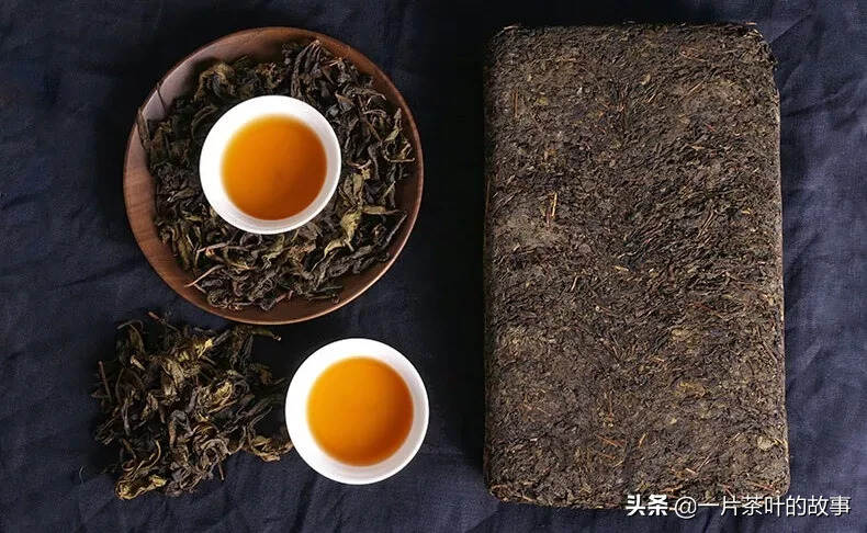 黑茶的“金花菌”，会不会被100℃沸水杀死？