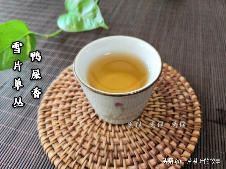 雪片单丛茶，这是一年中香气最高的茶叶
