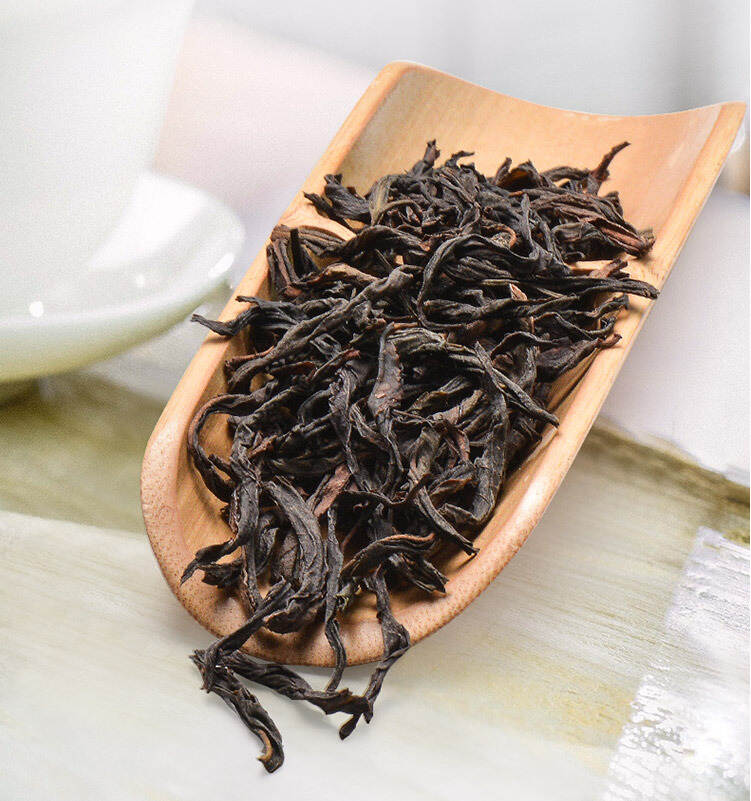 凤凰单丛是什么品种的茶？