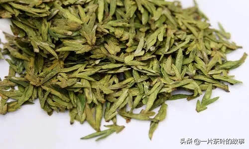 绿茶故事 | 绿茶里的大品种