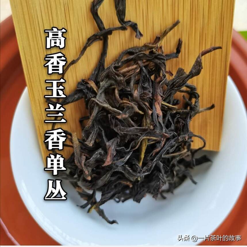 中国茶的种类繁多，你知道具体分为几类？