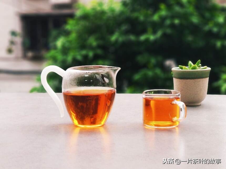 简单教茶小白们区别红茶和绿茶的四大技巧