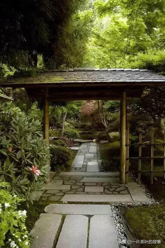 有个小院子，安心喝茶玩石头