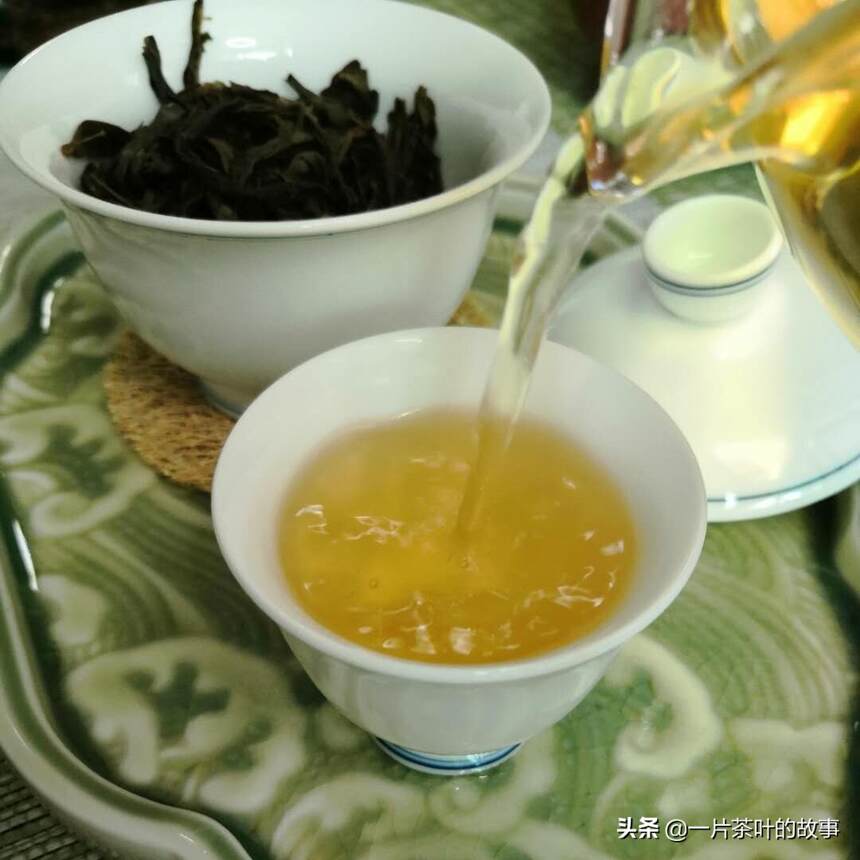 蜜兰香，单丛茶的入门口粮茶