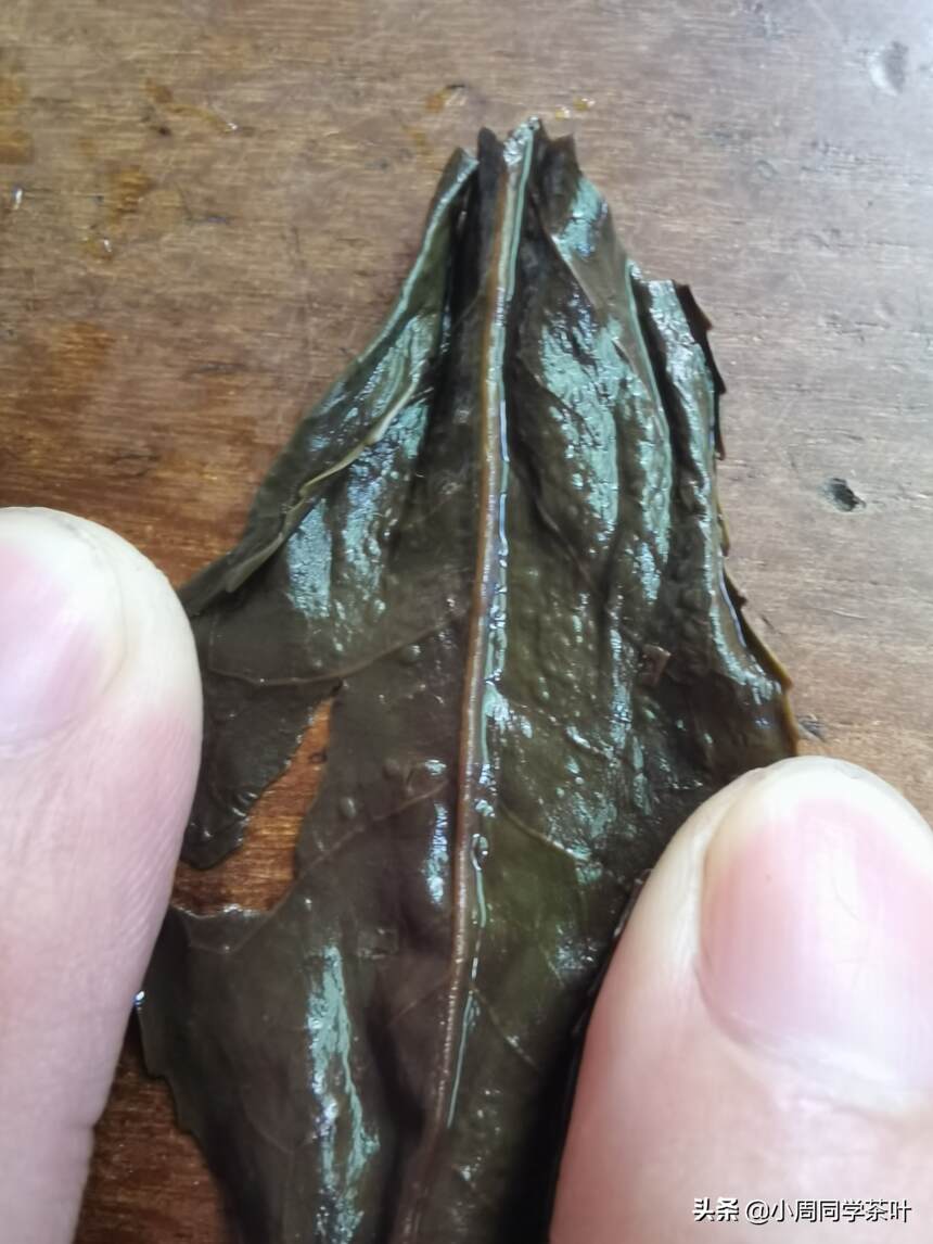 武夷岩茶的蛤蟆背跟茶叶的品质有关系么？