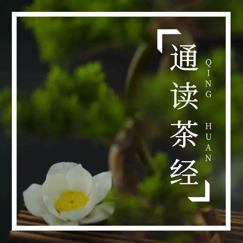 李白命名的茶叶流传至今，传说能延年益寿