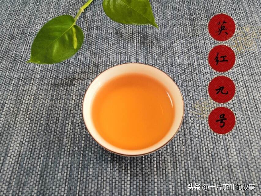 红茶审评常用术语——汤色、香气篇