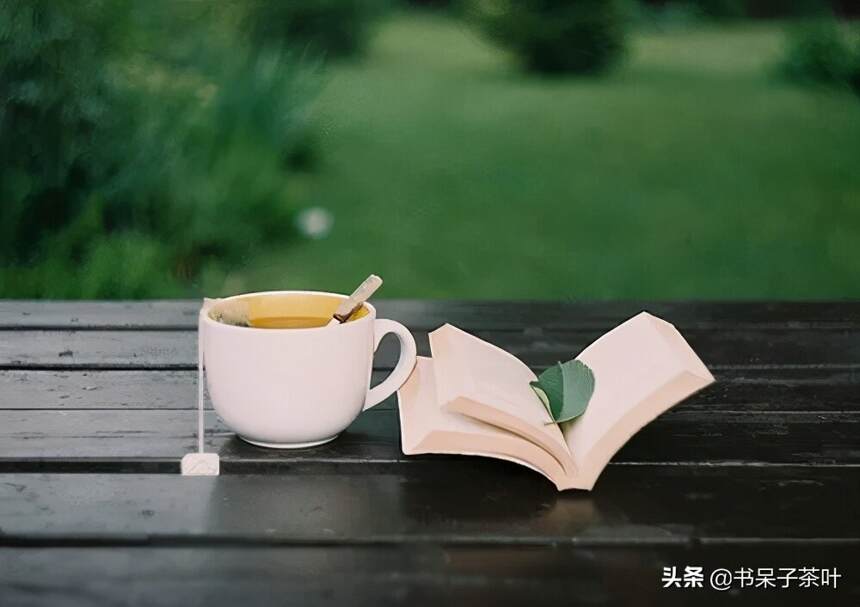 茶友记：一路书香，几缕茶汤