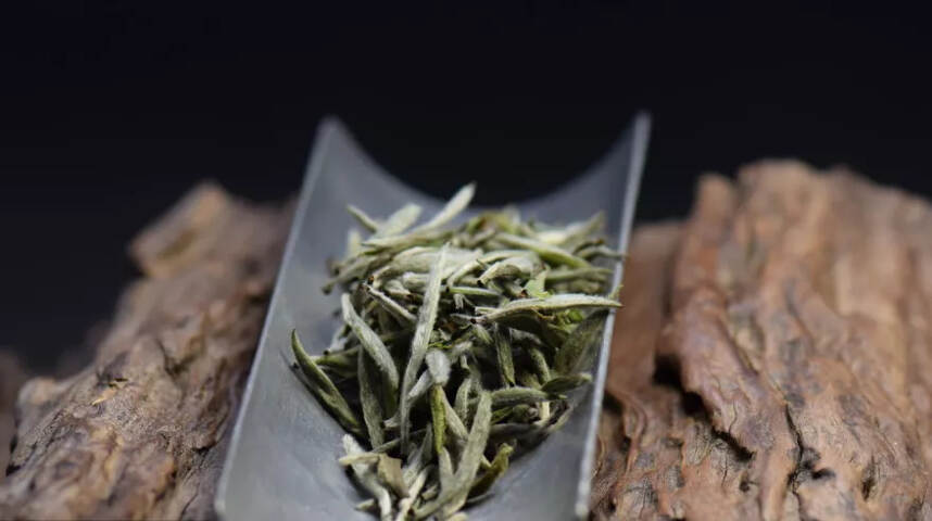 茶科普 | 茶叶形状的演变