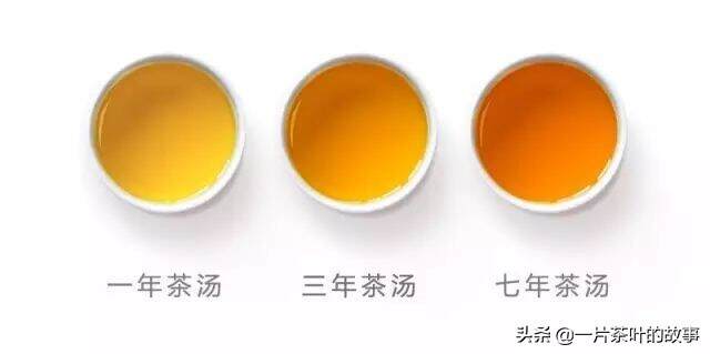 白茶不白，为什么叫白茶？