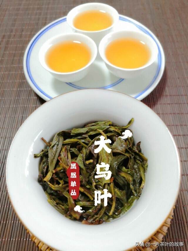 凤凰单丛｜如何在十大香型中挑选适合自己的单丛茶