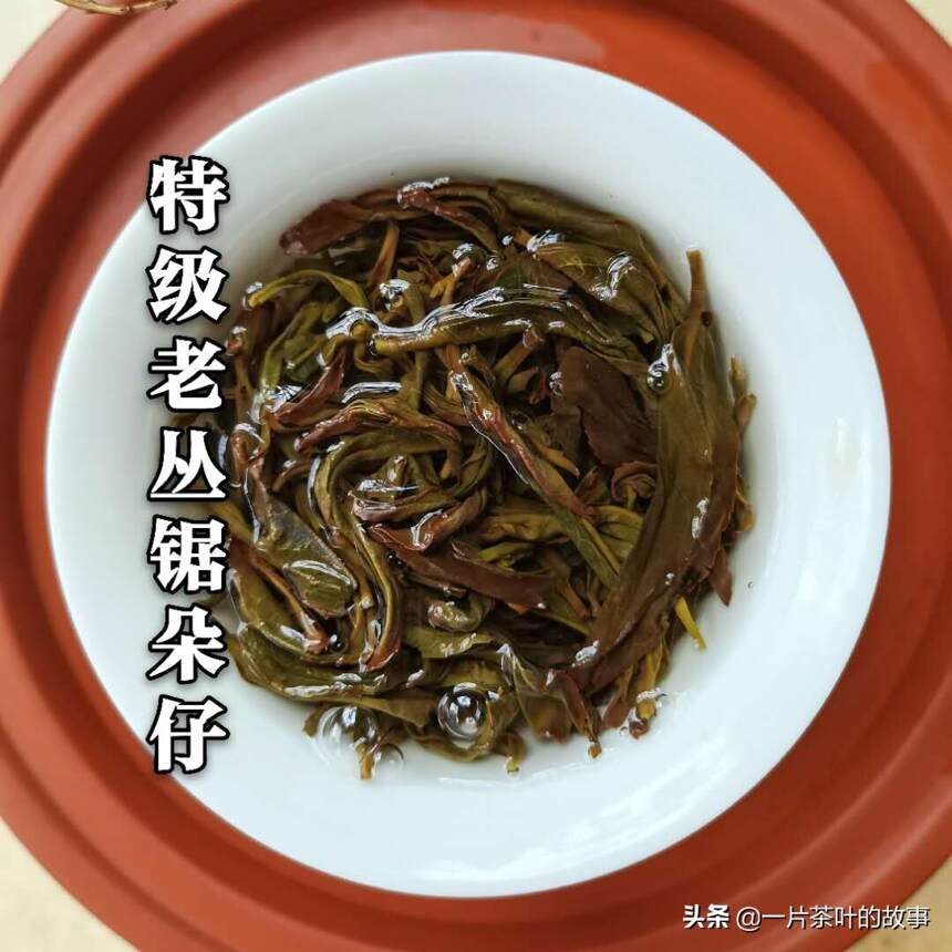 茶知识｜制茶工艺对乌龙茶香气的影响