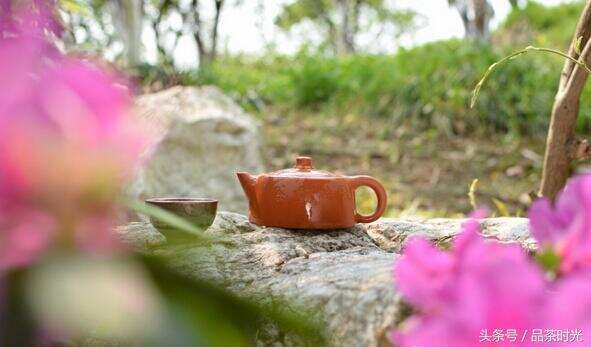 品茶时光｜想要一个，这样的院子，沏茶看鱼