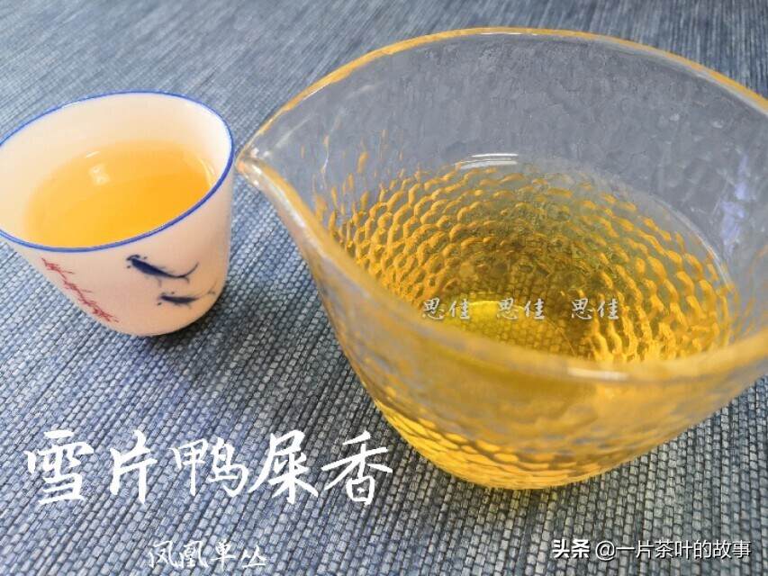 凤凰单丛｜雪片茶属于冬天的味道，香气最浓郁