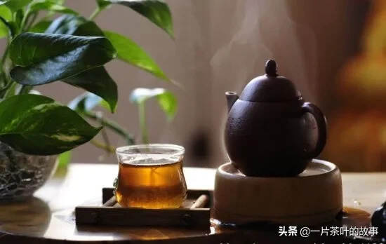 爱上茶，岁月自在安好