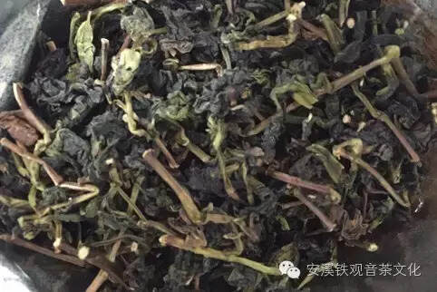 何为“茶叶界三最”的安溪铁观音制茶技艺