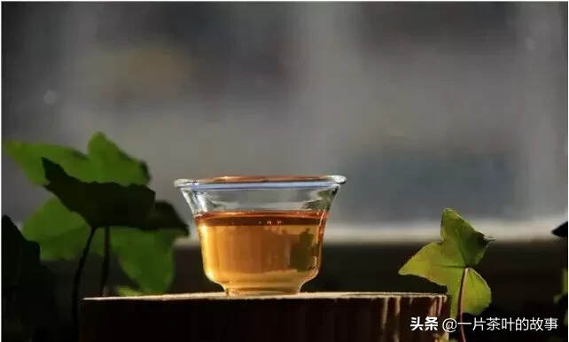 普洱茶汤混浊是哪些原因造成的？