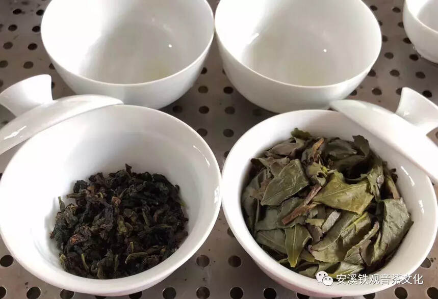 安溪铁观音是什么茶？是绿茶？