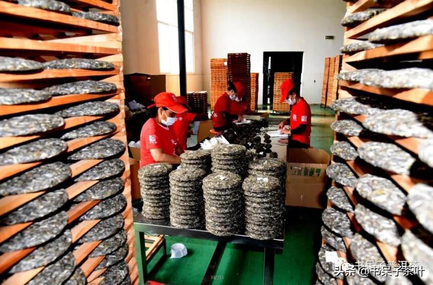 2021第一届勐海古树茶开采节，书呆子茶业打造普洱茶黄金线路