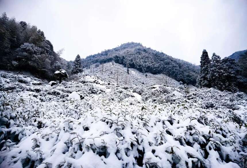 武夷山又下雪了